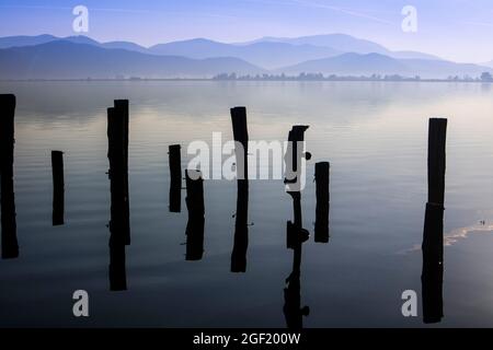 Sur les rives du lac Massaciuccoli à Torre Del Lago Puccini Italie Toscane Banque D'Images