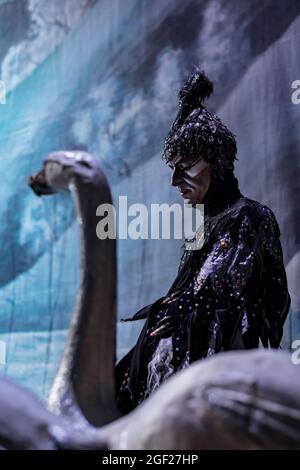 Danseur principal masculin en costume dans une production de Swan Lake dans un théâtre à Saint-Pétersbourg, en Russie. Banque D'Images