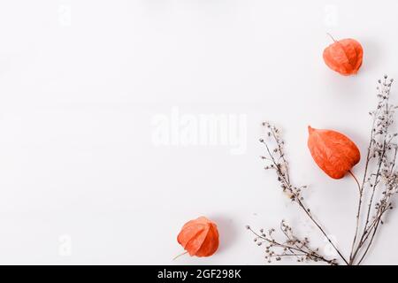 Composition d'automne faite de physalis orange et de brindilles d'automne sèches sur fond blanc. Automne, automne concept. Banque D'Images