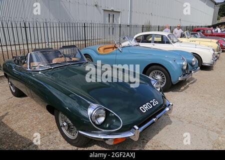 Jaguar E-Type (1968), Jaguar XK120 (1954) et Jaguar Mk2, Summer Classic Gathering, Brooklands Museum, Weybridge, Surrey, Angleterre, Royaume-Uni, Europe Banque D'Images