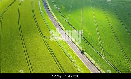 Vue aérienne de la route de campagne au milieu des champs de ferme verdoyants à la fin du printemps, West Sussex, Royaume-Uni. Banque D'Images