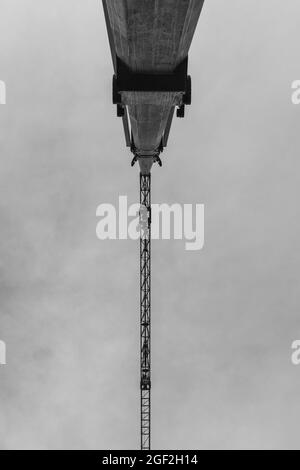 Prise de vue en niveaux de gris d'une grue contre un ciel gris Banque D'Images