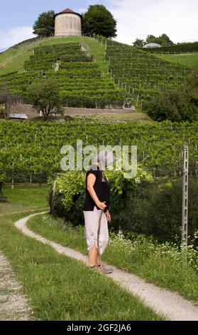 Femme mature trekking le long des vignobles dans la région italienne suisse Banque D'Images