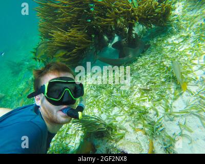 GO SLOW ISLAND, BELIZE - 02 août 2018 : un jeune homme aventureux qui fait de la plongée en apnée dans la mer porte un masque de plongée sur l'île de Caye Caulker, Belize Banque D'Images