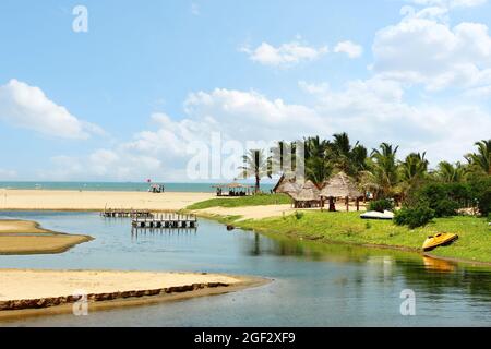 Vue sur la rive depuis la promenade en bateau vers Paradise Beach, Pondicherry, Inde. Sable doré, palmiers Cocount et zones ombragées en rotin Banque D'Images