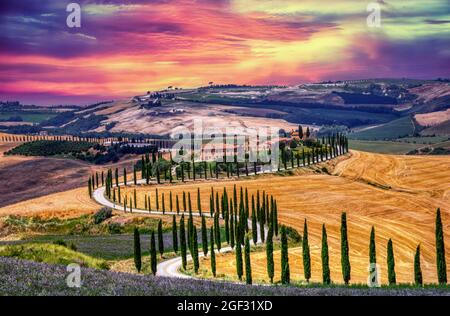 Toscane, Italie - 5 juillet 2018 : cyprès et prairie avec maison typique de Toscane, Val d'Orcia, Italie - Toscane Banque D'Images