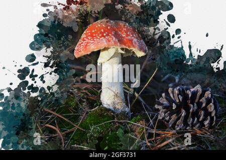 Champignon agarique venimeux avec un capuchon rouge. Le champignon Grebe, le cône de pin parmi la mousse et les aiguilles de pin dans la forêt. Aquarelle numérique. Numérique Banque D'Images