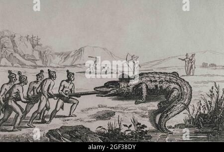 Expédition française du XVIe siècle. Floride. Chasse au crocodile. Dans l'expédition Jacques le Moyne de morgues (1533-1588) fait les illustrations. 19e cen Banque D'Images