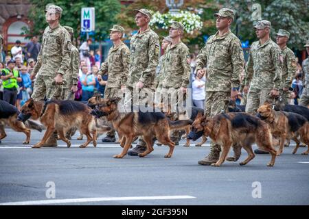 Ukraine, Kiev - 18 août 2021 : chiens de garde de berger au poste de garde-frontière. Marche militaire ukrainienne dans le défilé. Infanterie de l'armée. Hommes dans la rue Banque D'Images