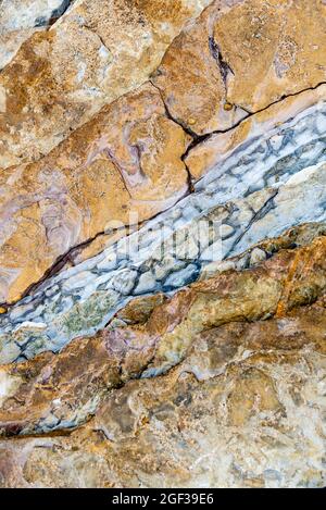 vue rapprochée sur la texture de la roche marine Banque D'Images