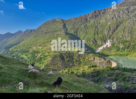 Margitze, Talwanne, Margitzenstausee, Voir, Stausee, Mauer, Staubauer, Pasterze, Wasser, Pasterzengletscher, Gletscherwasser, Oberstufe, Kraftwerk, Banque D'Images