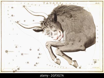 Cartes astronomiques/astrologiques anciennes de Sidney Hall - Taurus Banque D'Images