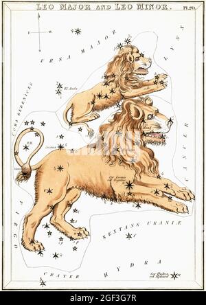 Cartes astronomiques/astrologiques anciennes de Sidney Hall - Lion Banque D'Images