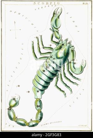 Cartes astronomiques/astrologiques vintage de Sidney Hall - Scorpion Banque D'Images