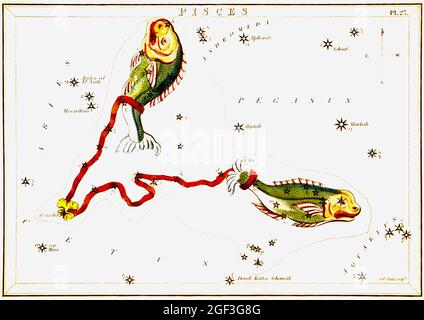 Cartes astronomiques/astrologiques anciennes de Sidney Hall - poissons Banque D'Images