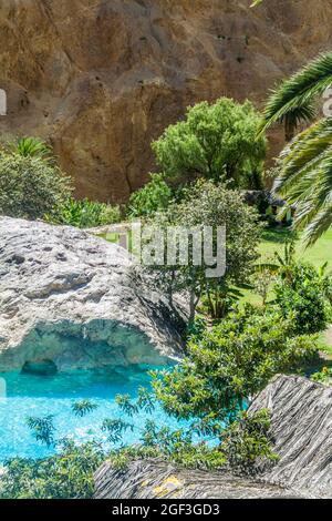 Piscine dans l'oasis Sangalle au fond du canyon de Colca, Pérou Banque D'Images