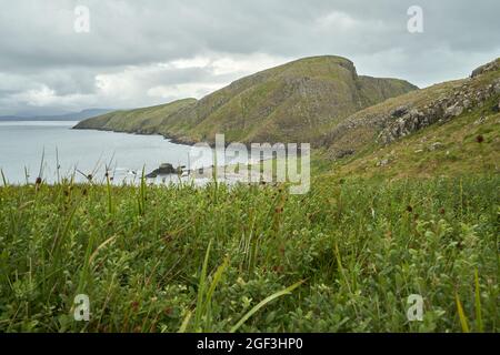 La maison ou bothy sur Eilean an Taighe dans les îles Shiant avec la végétation mixte qui a résisté à la pression de pâturage par les moutons au premier plan. Banque D'Images