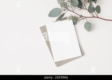 Carte blanche à blanc et l'enveloppe avec des feuilles d'eucalyptus.  Invitation vierge Photo Stock - Alamy