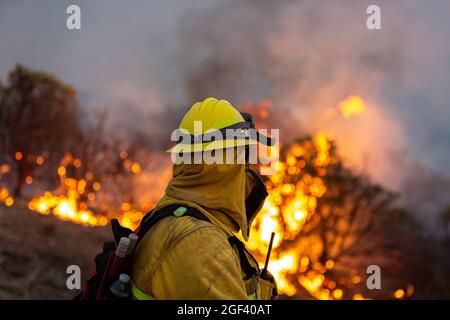 Le 22 août 2021, l'incendie de Caldor, en Californie, se déplace vers l'est vers le lac Tahoe alors que les équipages continuent à affronter un incendie qui a atteint plus de 170 000 kilomètres carrés avec seulement 5 % de confinement. (Photo de Michael Nidro/Sipa USA) crédit: SIPA USA/Alay Live News Banque D'Images