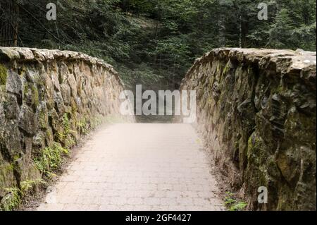 Pont de pierre dans la zone boisée du parc national de Hocking Hills, Logan, Ohio Banque D'Images