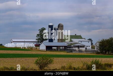 Amish Farm and Homestead lors d'une journée nuageuse avec des pieux de cultures récoltées enveloppées de plastique Banque D'Images