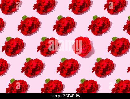 Motif de têtes de fleurs de carnation rouges avec une seule en position différente Banque D'Images