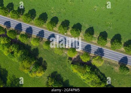 Vue de drone sur la route de campagne au printemps Banque D'Images