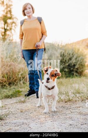 Femme âgée en randonnée avec chien Banque D'Images