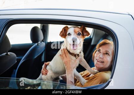 Femme regardant un chien de compagnie assis en voiture Banque D'Images