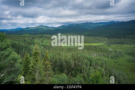 Vue sur la rivière Valin et la montagne Valin en été depuis le sentier de randonnée Mirador dans le parc national des Monts Valin, au Québec (Canada) Banque D'Images