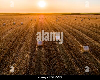 Vue aérienne des balles de foin dans un champ labouré au coucher du soleil Banque D'Images