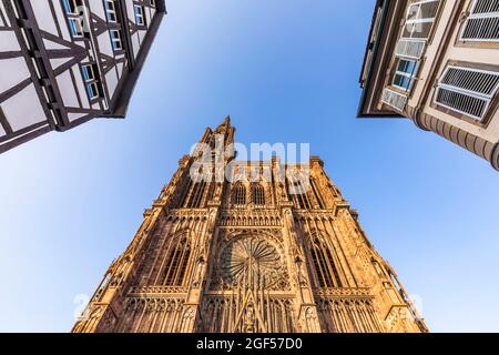 France, Bas-Rhin, Strasbourg, façade de la cathédrale de Strasbourg Banque D'Images