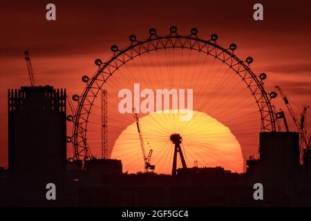 Londres, Royaume-Uni. 23 août 2021. Météo au Royaume-Uni : le soleil du soir se couche derrière la roue London Eye, vue depuis le sommet de Greenwich Park. Credit: Guy Corbishley/Alamy Live News Banque D'Images