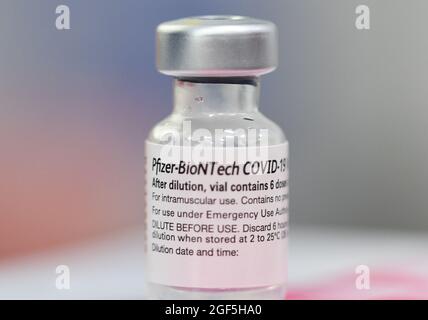 Orlando, États-Unis. 23 août 2021. Un flacon contenant le vaccin Pfizer-BioNTech COVID-19 est vu sur un site mobile de vaccination à Orlando le jour où la FDA a donné son approbation du médicament aux personnes de moins de 16 ans et plus. Le vaccin Pfizer-BioNTech est le premier à être approuvé pour le COVID-19 et sera commercialisé sous le nom de Comirnaty. Crédit : SOPA Images Limited/Alamy Live News Banque D'Images