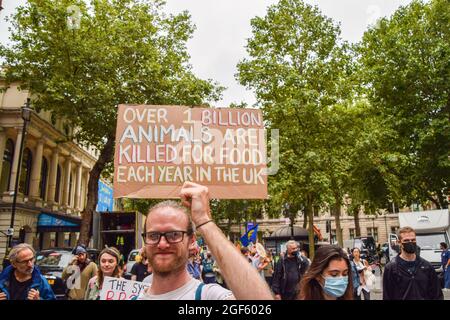 Londres, Royaume-Uni. 23 août 2021. Un démonstrateur tient un écriteau antianimal sur l'agriculture pendant la manifestation à Charing Cross Road. Extinction les manifestants de la rébellion se sont rassemblés dans le centre de Londres pour le début de leur campagne de deux semaines intitulée Impossible rébellion, appelant le gouvernement britannique à agir de manière significative sur la crise écologique et climatique. (Photo de Vuk Valcic/SOPA Images/Sipa USA) crédit: SIPA USA/Alay Live News Banque D'Images
