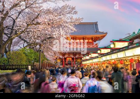 Les touristes de la rue commerçante d'Asakusa se connectent au temple Sensoji avec des sakura au printemps, Tokyo Japon (lettres japonaises sur la lanterne rouge signifiant Banque D'Images