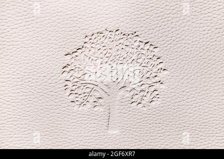 Texture relief avec bois sur fond blanc.fond blanc en similicuir gaufré. Banque D'Images