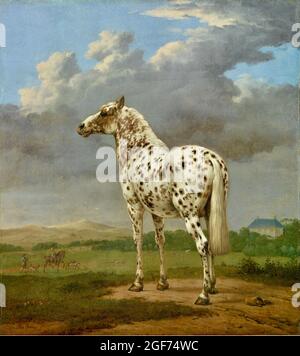 Paulus Potter - le cheval Piebald - 1650 - 1654 Banque D'Images