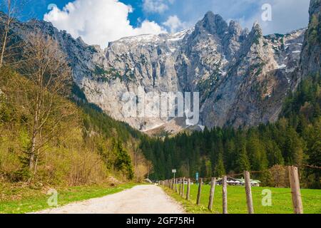 Vue pittoresque de la route alpine Scharitzkehl en Allemagne avec les Alpes en arrière-plan. Il y a de la neige sur le sommet de la montagne, des conifères à... Banque D'Images