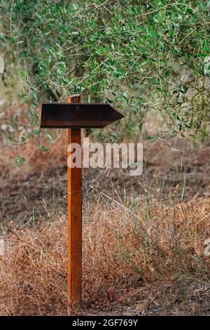 Ancienne signalisation en bois patiné et panneau de flèche dans un jardin Banque D'Images