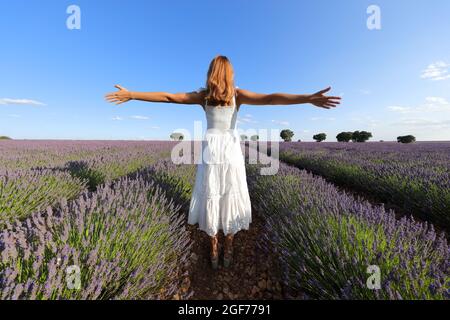 Vue arrière d'une femme vêtue d'une robe blanche et dépassant les bras dans un champ de lavande Banque D'Images
