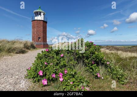 Lumière de croix Red Cliff, phare dans le paysage des dunes, Kampen, Sylt, Iles Frise orientale, Schleswig-Holstein, Allemagne Banque D'Images