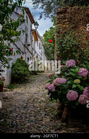 Rues de Castelo de vide, Alto Alentejo, Portugal. Banque D'Images