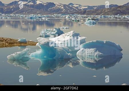 Icebergs reflétés dans l'eau d'un fjord, paysage sauvage déserté en arrière-plan, Arctique, Tiniteqilaaq, est du Groenland, Danemark Banque D'Images