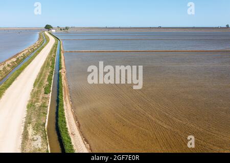 Campagne, canal et petite ferme au milieu des champs de riz inondés en mai, vue aérienne, tir de drone, Réserve naturelle du delta de l'Ebro, province de Tarragone Banque D'Images