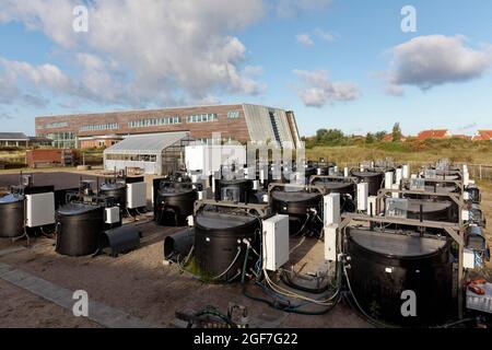 Réservoirs de l'installation de mésocosme pour la simulation des paramètres environnementaux, station AWI Wadden Sea, Institut Alfred Wegener, Centre Helmholtz pour Polar Banque D'Images