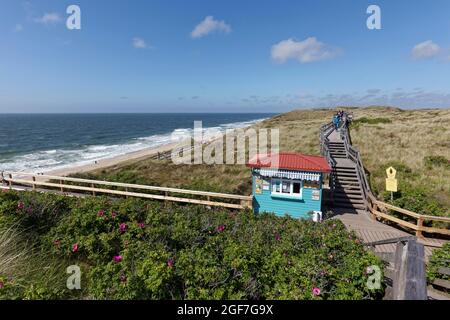 Plage et promenade dans les dunes sur les promenades, près de Wenningstedt sur Sylt, îles de la Frise du Nord, Schleswig-Holstein, Allemagne Banque D'Images