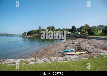 Creymll, Cornouailles, Angleterre, Royaume-Uni. 2021. Vacanciers sur la petite plage de galets à Creymyll, Cornouailles, adossée au parc de campagne du Mont Edgcumbe en été Banque D'Images