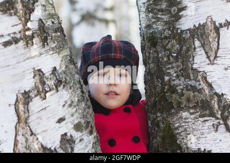 Portrait d'un enfant caucasien sérieux de trois ans entre deux bouleaux en manteau rouge dans le parc Banque D'Images