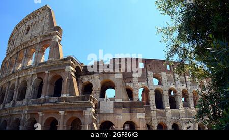 Le Colisée, connu à l'origine sous le nom d'Amphitheatrum Flavium ou simplement d'Amphitheatrum, situé dans le centre de la ville de Rome, est la plus grande amphith Banque D'Images